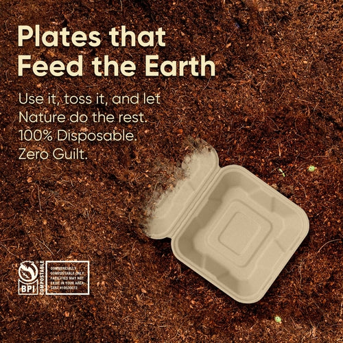 Bosnal - Sugarcane Bagasse Compostable Clamshell Boxes, 6 inch, Square
